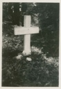 Image of Cross in cemetery
